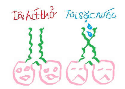 Tớ là Hệ Hô Hấp...