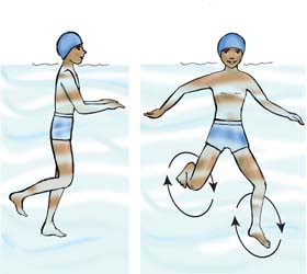 Đạp nước (5) - Treading water (5)
